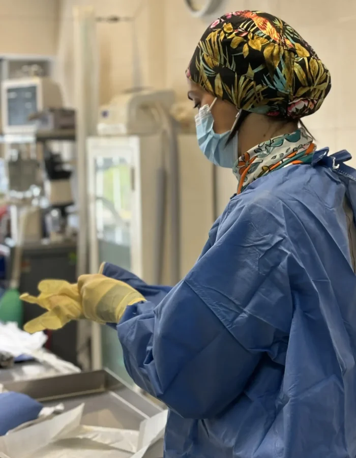 empleado veterinaria san juan